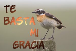 las debilidades